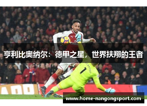 亨利比奥纳尔：德甲之星，世界扶翔的王者